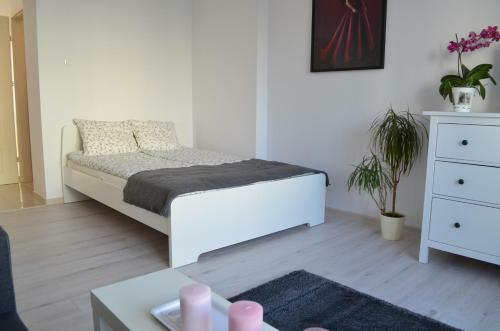 Apartamento Baigo Star