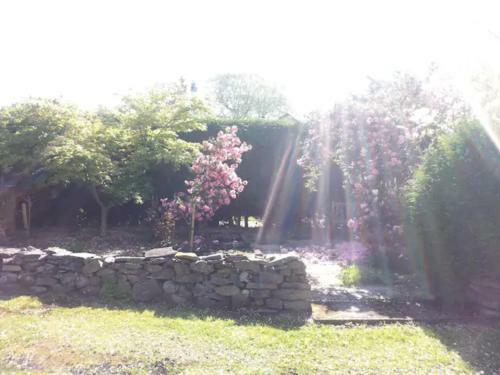 Home Comforts In Peaceful 2 Acres