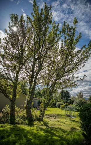 Home Comforts In Peaceful 2 Acres