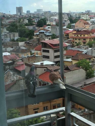 Apartamento New Central Roof Top View