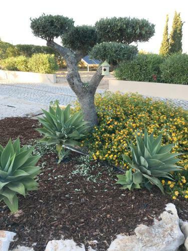 Quinta Do Pinheiro Manso - Holidays Villa - Marinha Beach