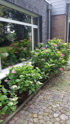 Apartamento Villa Berk En Heide