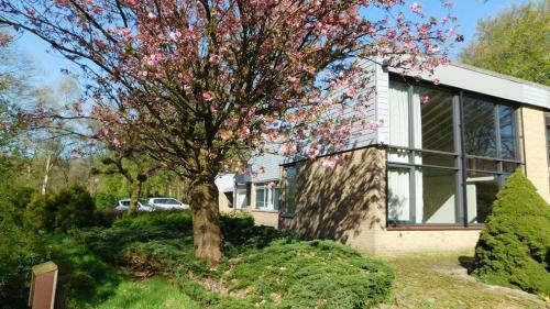Apartamento Villa Berk En Heide