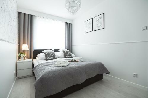 Silver Apart Rzesz�w