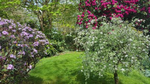 Bed & Breakfast Cruachan House