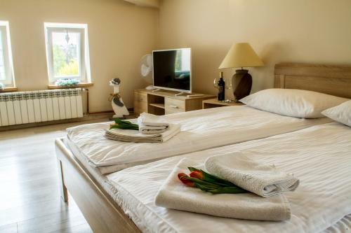 Apartamenty Wadowity 4a