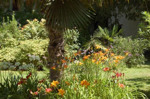 Hotel Le Mas Ferrand