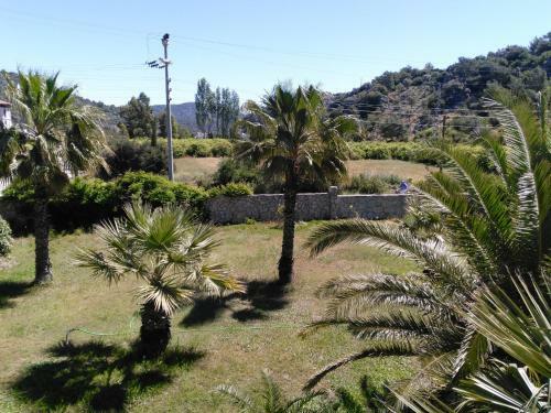 The Palm Apart Sarigerme
