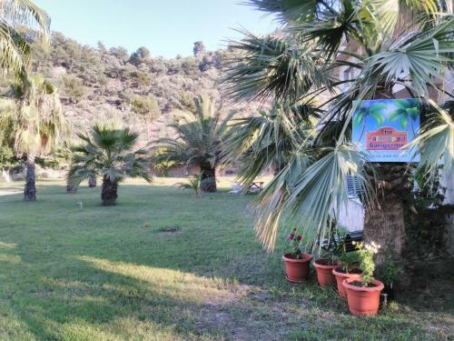 The Palm Apart Sarigerme