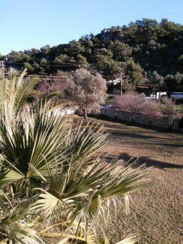 The Palm Apart Sarigerme