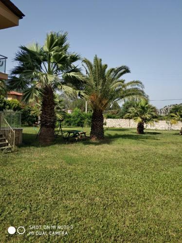 The Palm Apart Sarigerme
