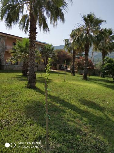 The Palm Apart Sarigerme