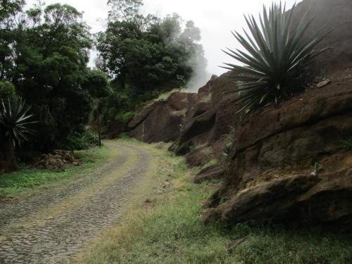 Agroturismo Biosfera Amor Do Dia