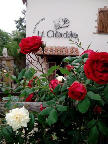 Agroturismo Agriturismo La Chiocciola
