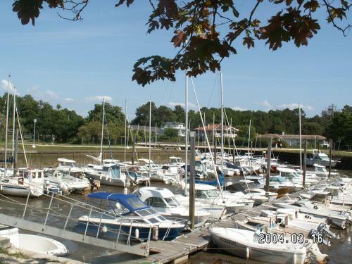 G�te Timellen