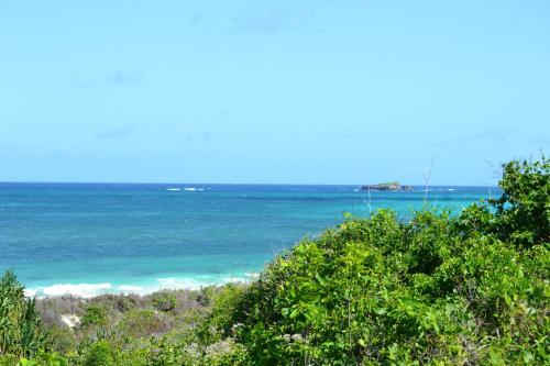 Turtle Bay Bed And Breakfast