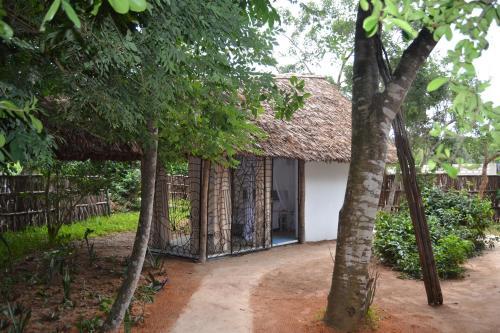 Turtle Bay Bed And Breakfast