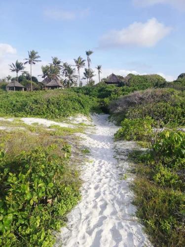 Turtle Bay Bed And Breakfast
