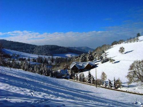 Apartamento Unterer Gurethshof