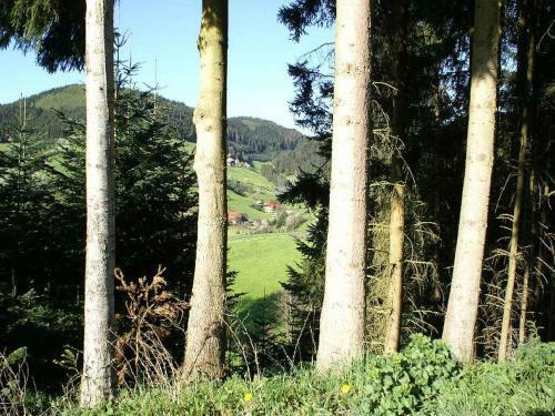 Apartamento Unterer Gurethshof