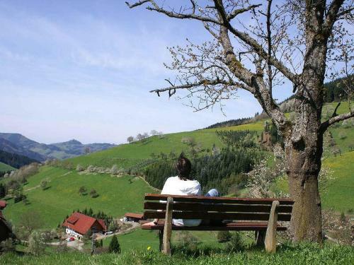Apartamento Unterer Gurethshof