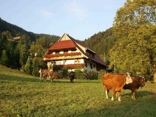 Apartamento Unterer Gurethshof