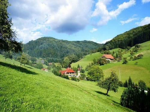 Apartamento Unterer Gurethshof