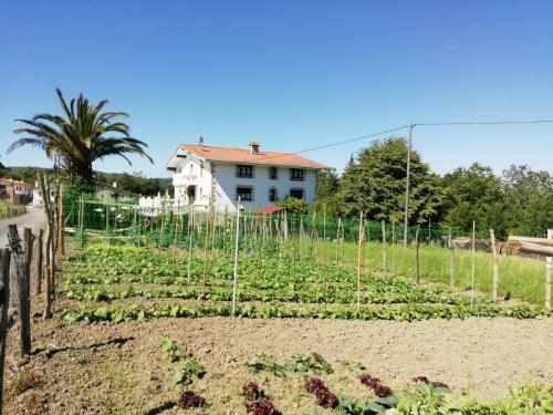 Agroturismo Pagoederraga