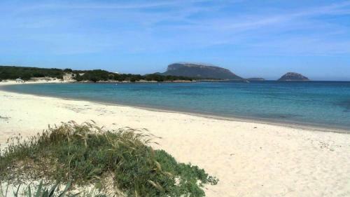 Apartamento Residence Sottomonte