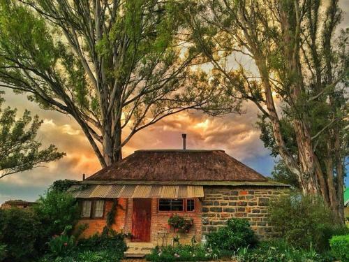 Agroturismo Dalmore Guest Farm