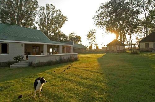 Agroturismo Dalmore Guest Farm