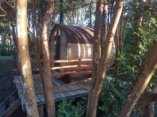 Caba�as Del Lago Huillinco