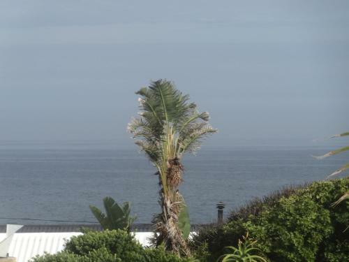 Hostal Oystercatcher Guest House