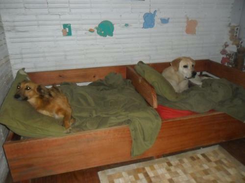 Apartamento Hospedaria Paradouro Caracol