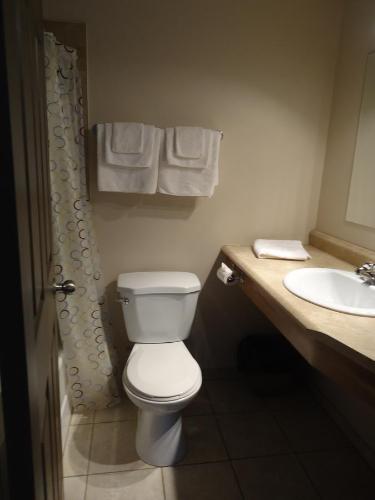 Motel Aux �cluses