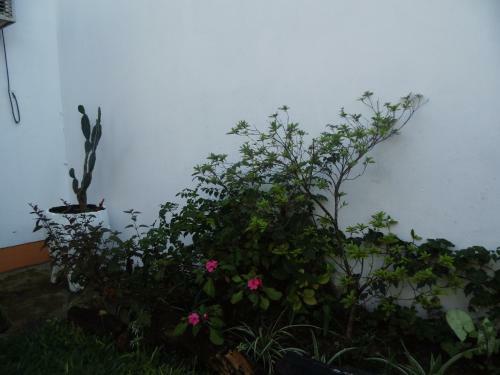 Casa Lihuel