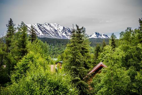 Lodge Midnight Sun Log Cabins