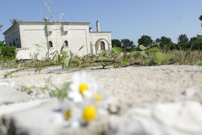 Bed & Breakfast La Suite Nel Bosco