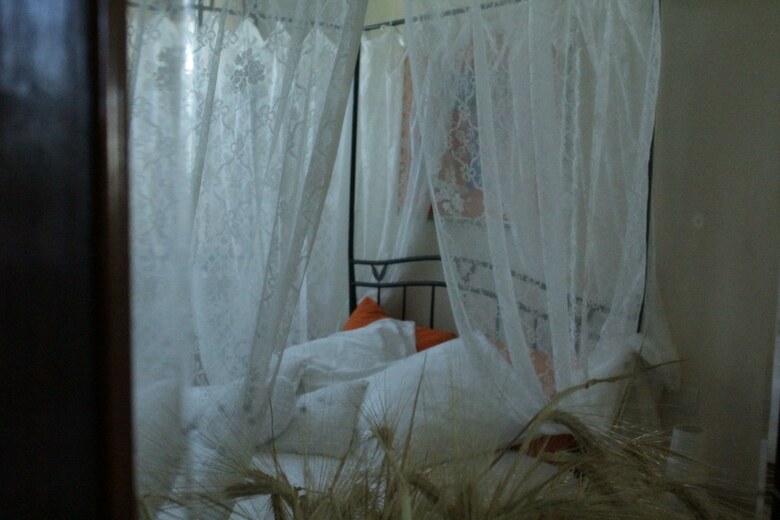 Bed & Breakfast La Suite Nel Bosco