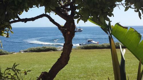 Port Main Royal Ocean's Edge
