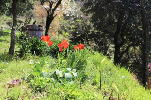 Apartamento Pav� Delle 5 Terre