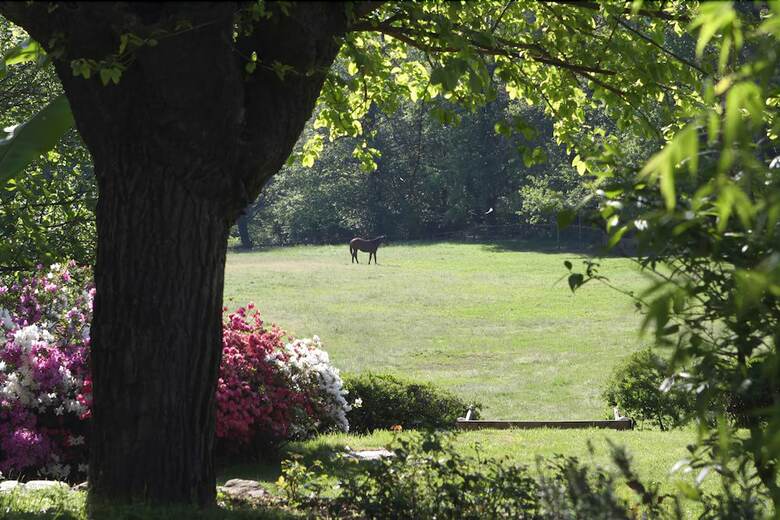 Bed & Breakfast La Cucchetta