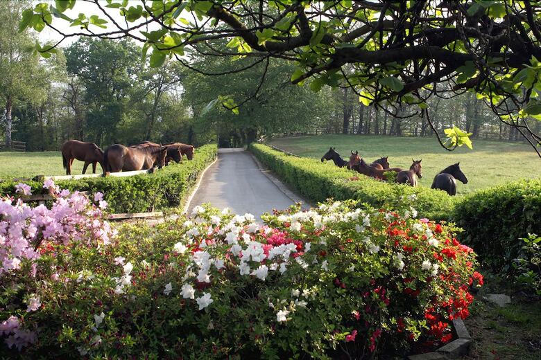 Bed & Breakfast La Cucchetta