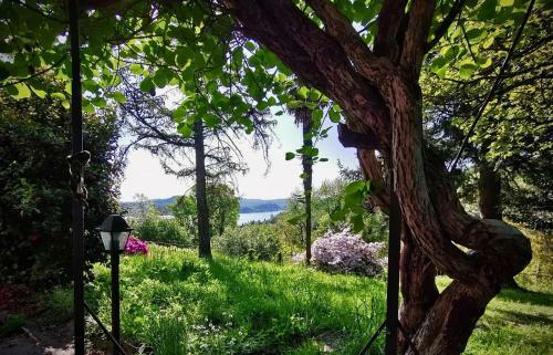Bed & Breakfast Swanlake Rooms