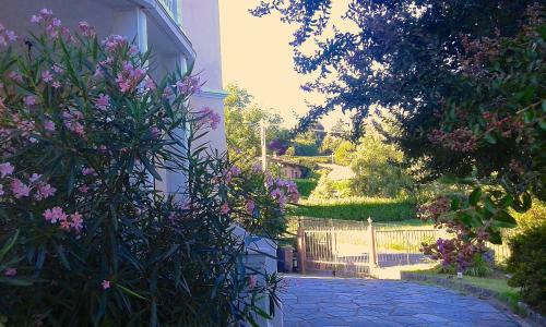 Bed & Breakfast Swanlake Rooms