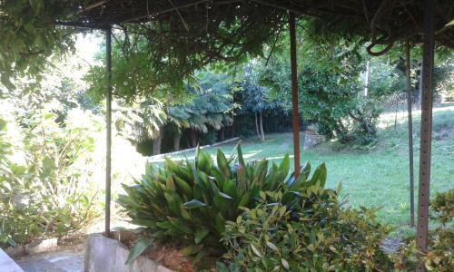 Bed & Breakfast Swanlake Rooms