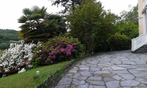 Bed & Breakfast Swanlake Rooms
