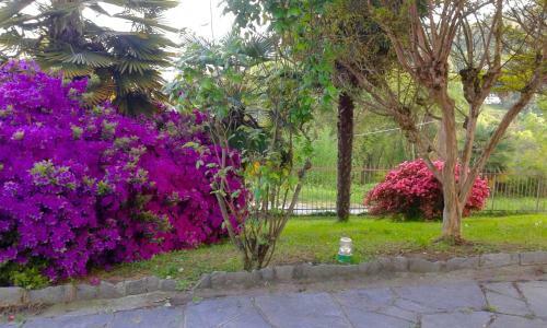 Bed & Breakfast Swanlake Rooms