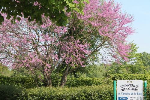Camping De La Baie