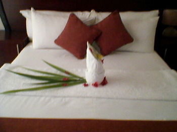 Hotel Okavango Roadside Guesthouse